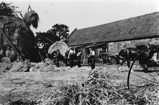 Photo:Farmworkers bringing in the hay, c. 1920s?  If you recognise the farm, let us know.